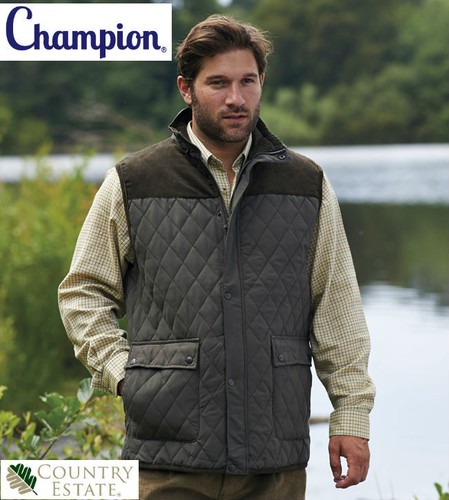 Champion herren arundel - herren,