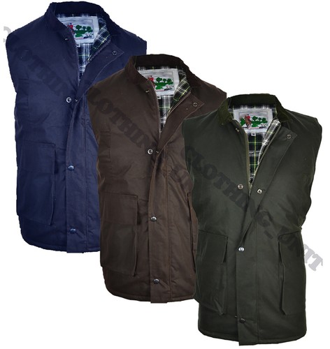 Herren wachs baumwolle - herren,